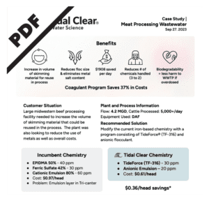 Case-Processing-pdf
