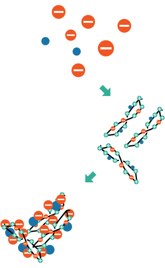 Tidal-Clear-Core-2024-molecules-loading Tidal-Clear-Core-2024-molecules-loading